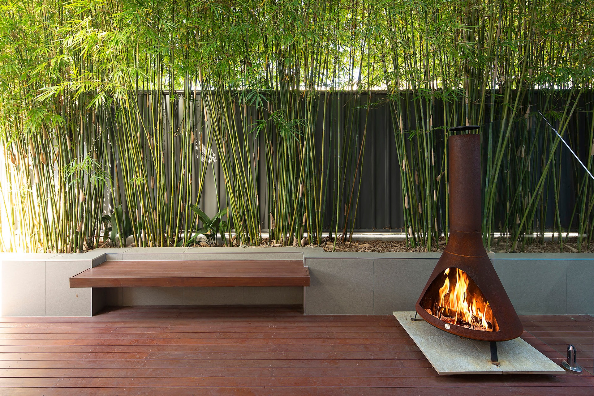 Contemporary landscape design with pool and planting
