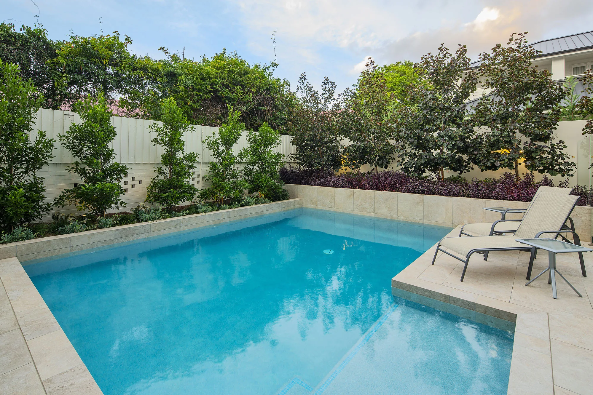 Rectangular pool with glass fencing, sun loungers, and a clipped hedge screen along the boundary