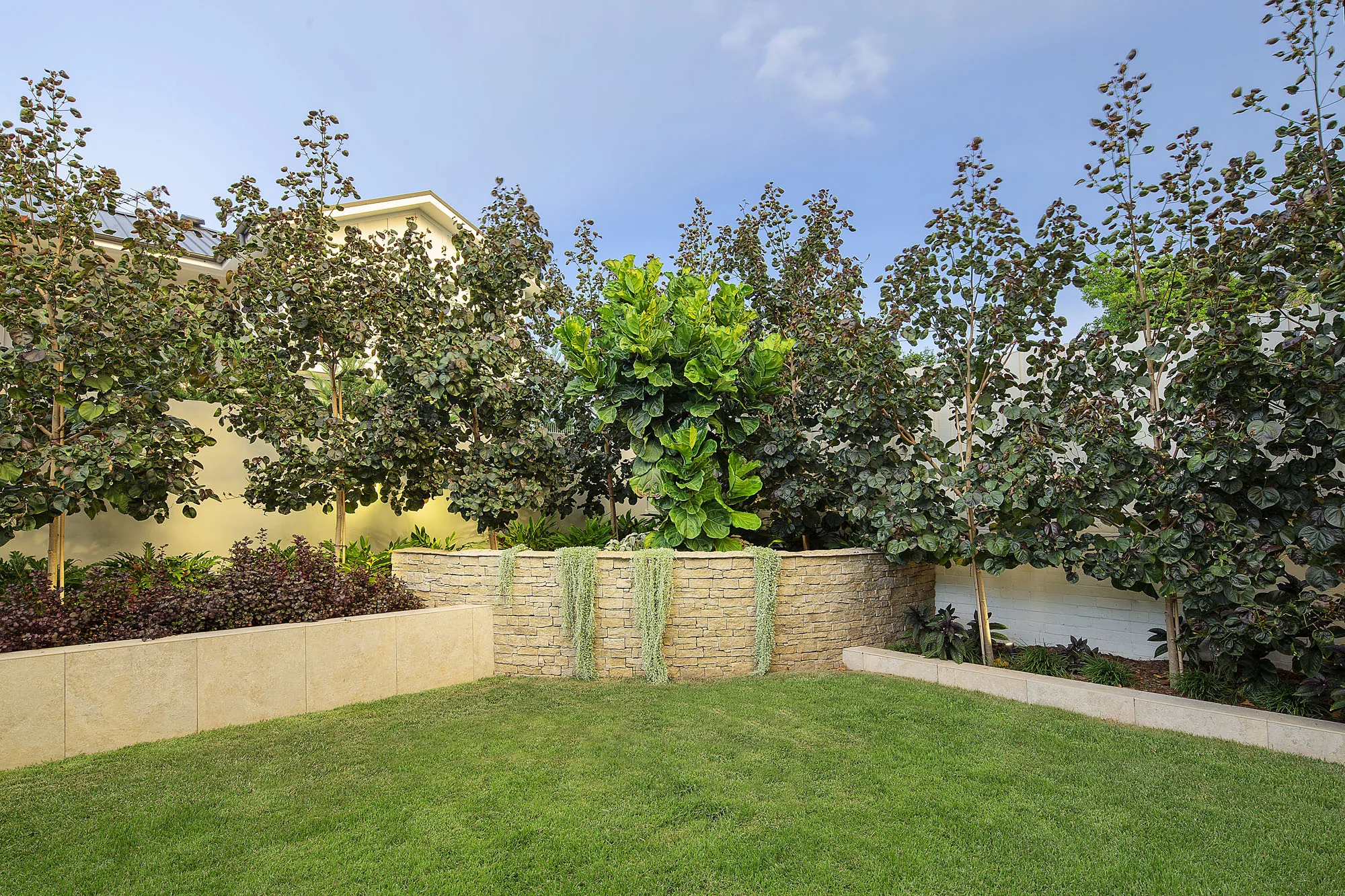 Wide lawn panel running to a rectangular pool with clipped hedge screening along the far boundary