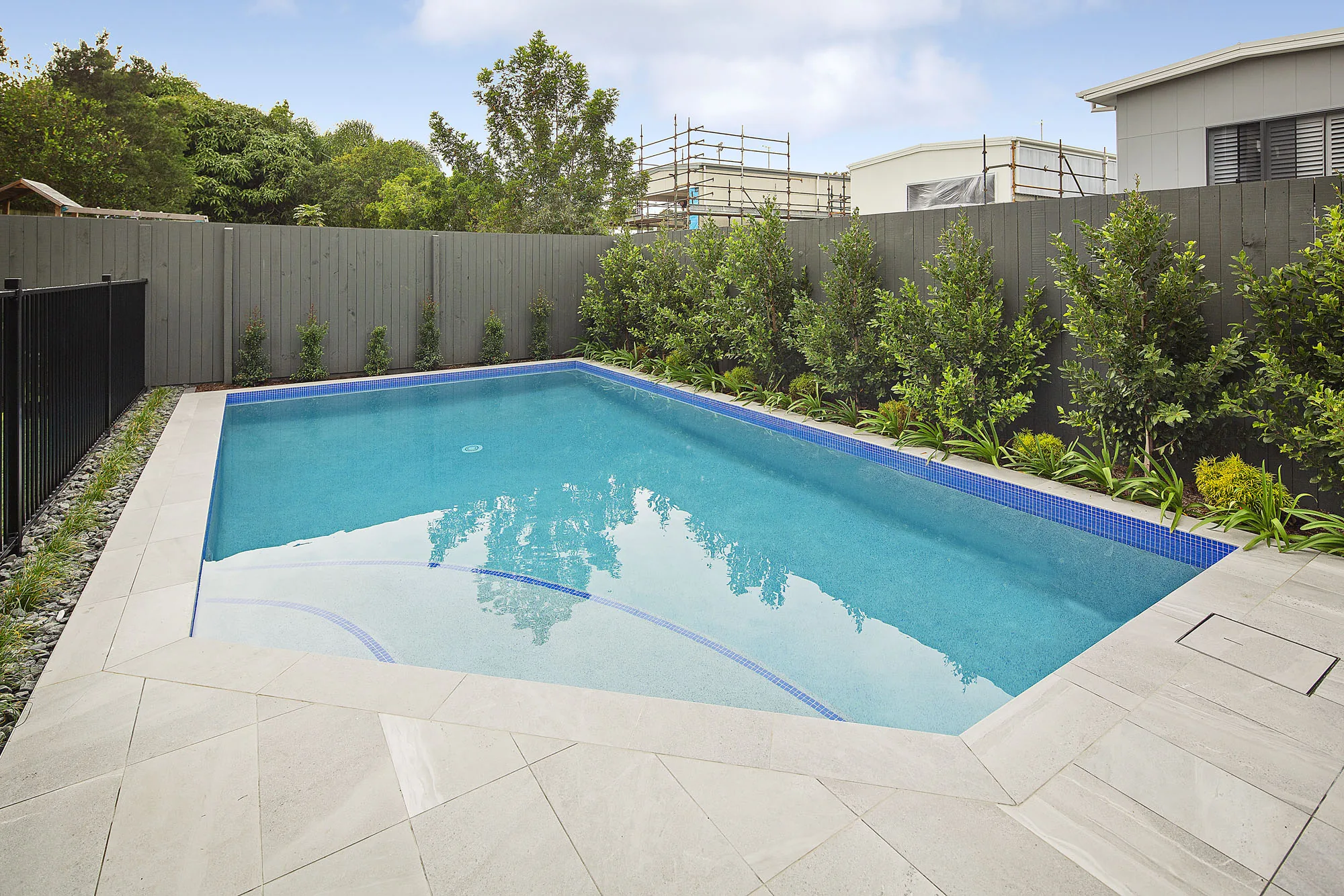 Diamond-shaped pool edged with native grasses and strappy planting along a dark timber paling fence