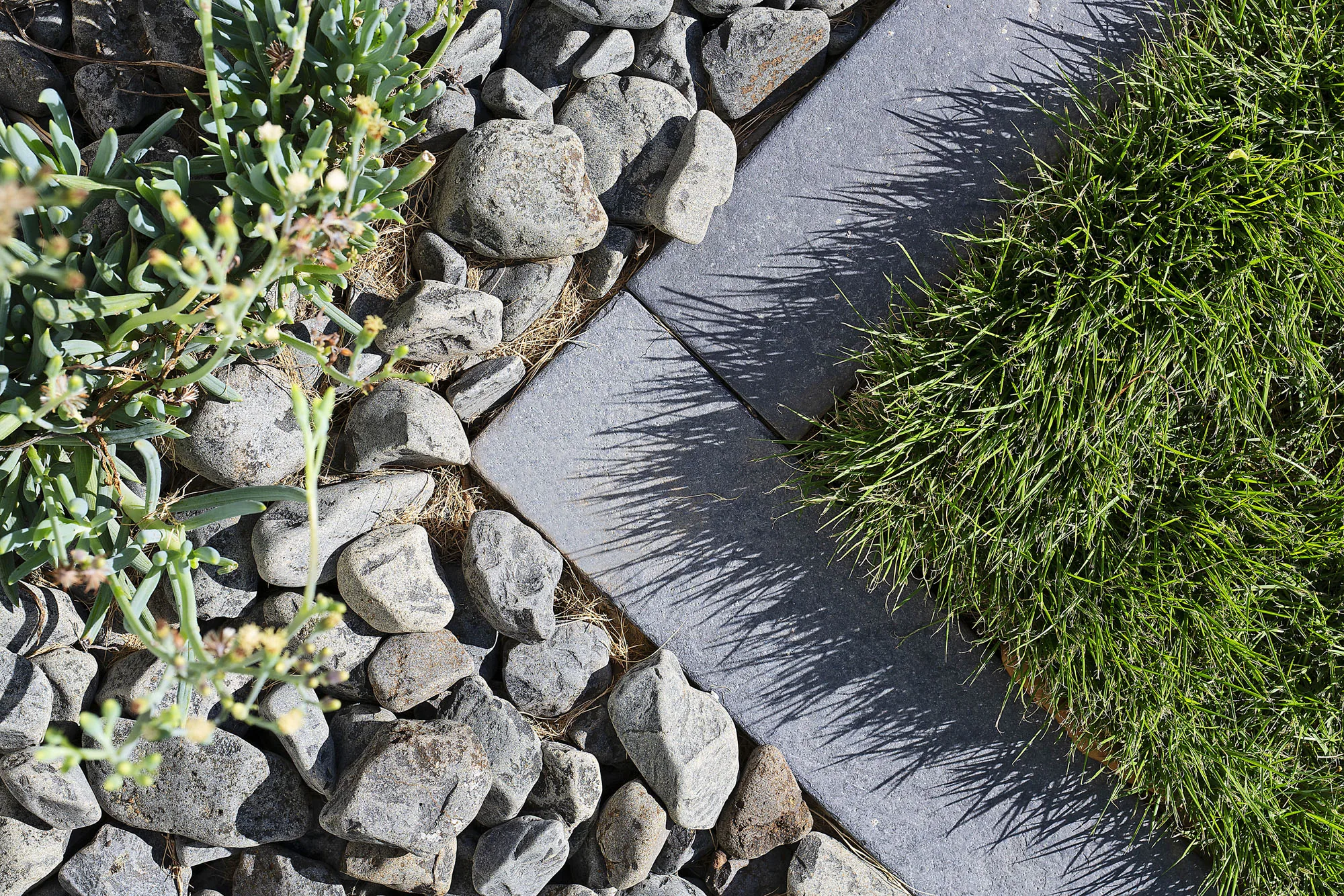 Gabion stone wall detail with native grass tussocks and low succulent groundcover
