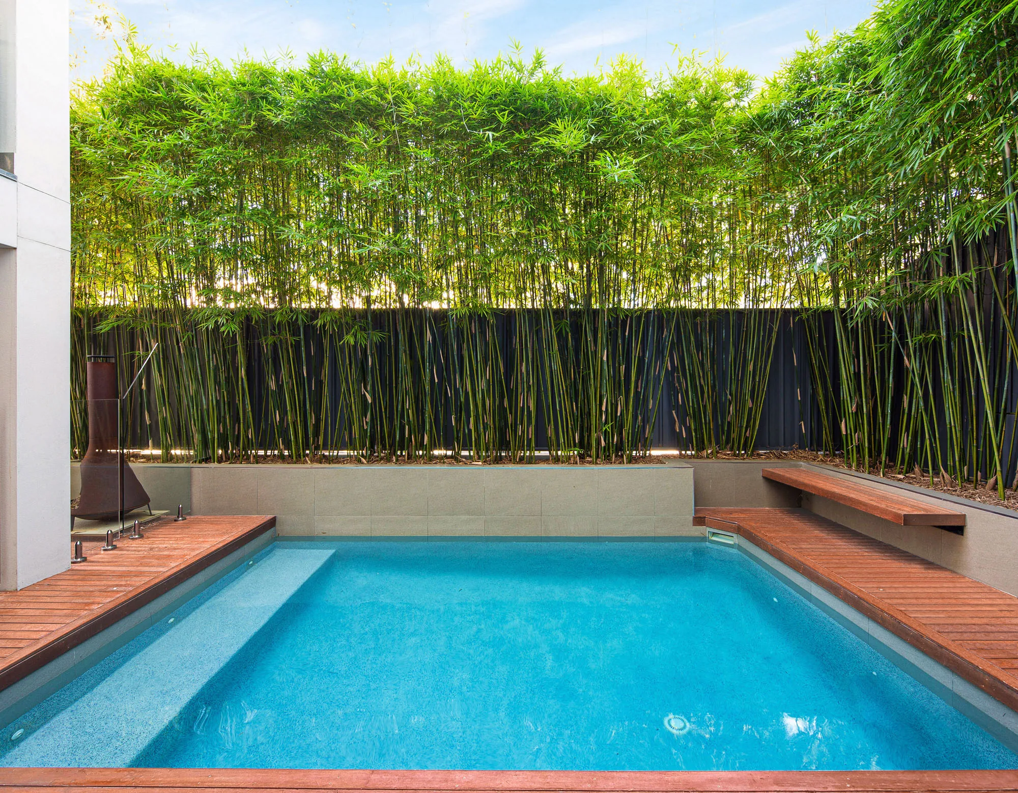 Narrow plunge pool bordered by ironbark decking and a dense bamboo privacy screen, with an outdoor dining setting alongside