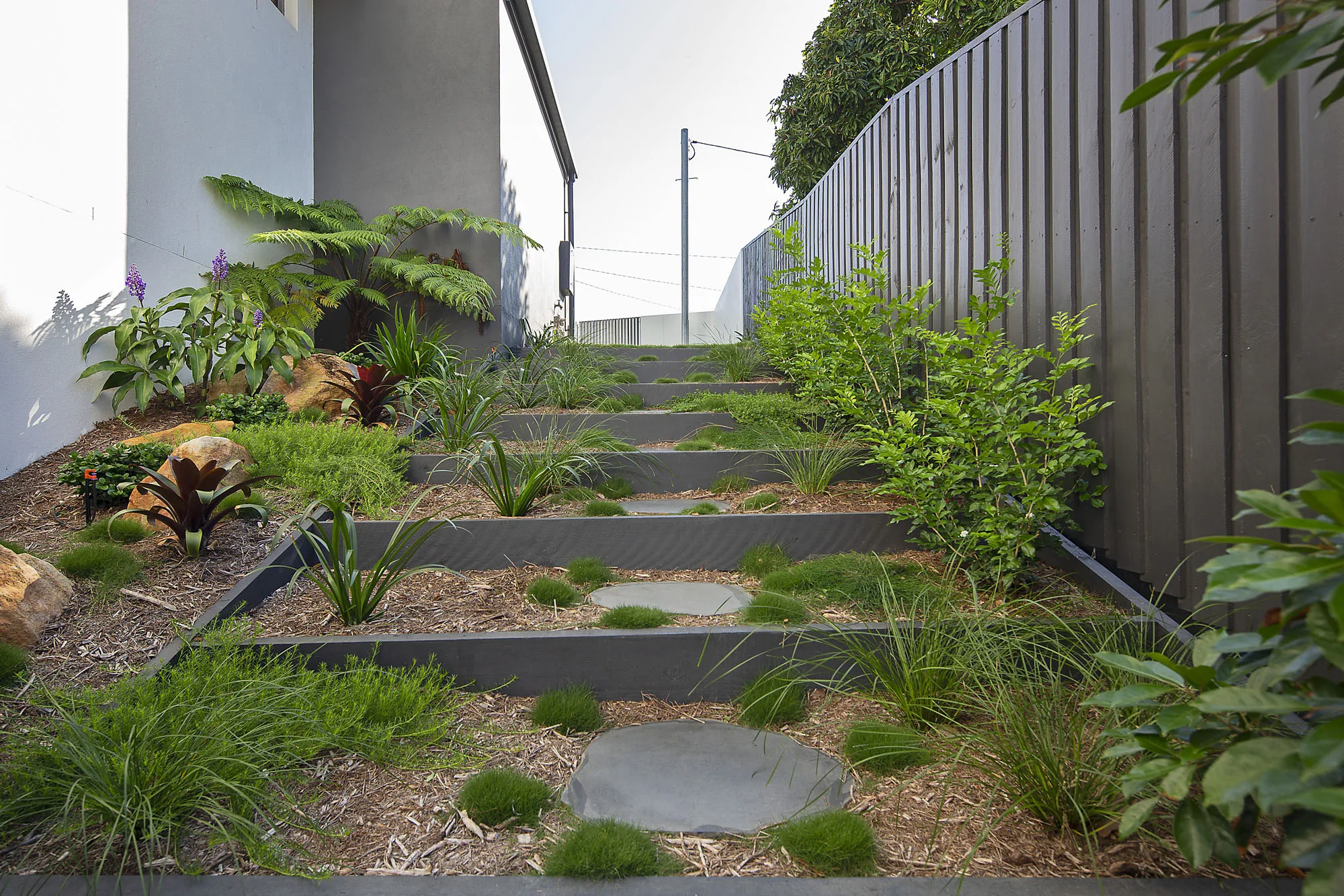 Stepping pavers through a tight side-access path with mixed native and tropical underplanting