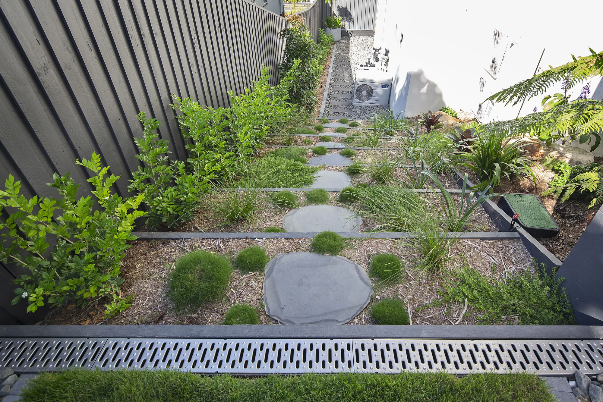 Narrow side path with a linear drain and layered tropical underplanting against a rendered wall