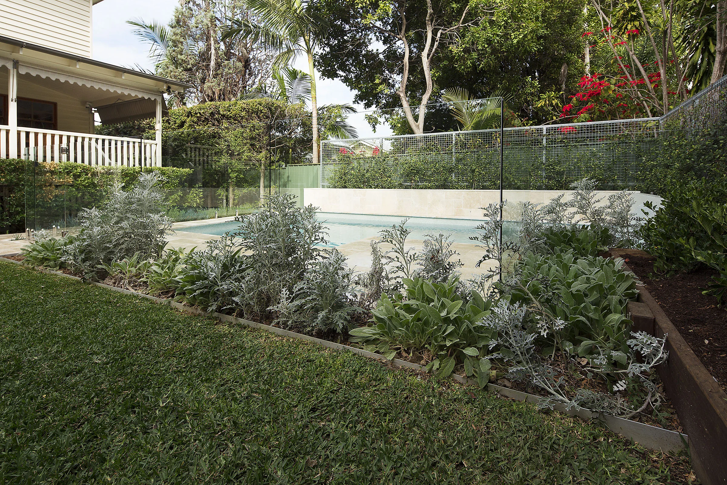 Symmetrical rectangular pool with travertine coping, lawn panel, and clipped hedge screening